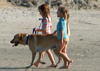 (09-11-11) AWG / TGSA Galveston Grom Round Up - Album 1